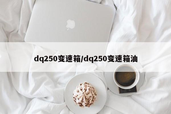 dq250变速箱/dq250变速箱油
