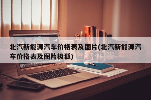 北汽新能源汽车价格表及图片(北汽新能源汽车价格表及图片极狐)