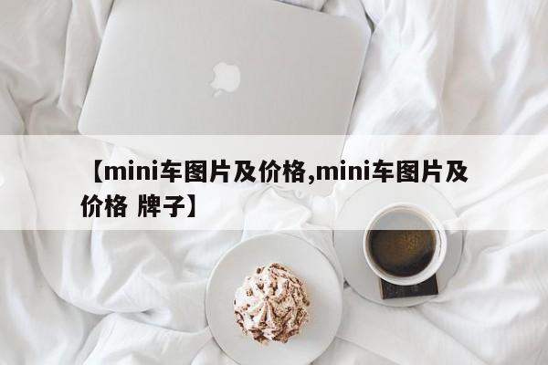 【mini车图片及价格,mini车图片及价格 牌子】
