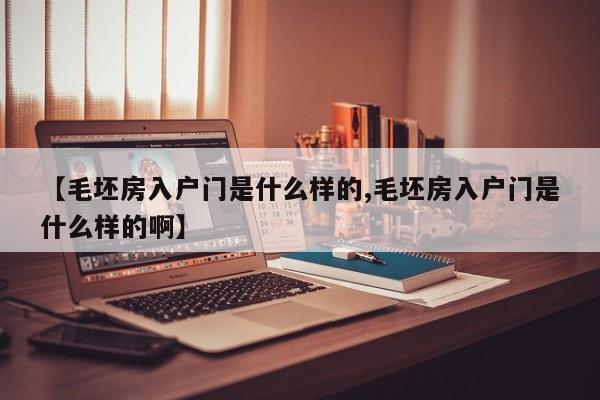 【毛坯房入户门是什么样的,毛坯房入户门是什么样的啊】