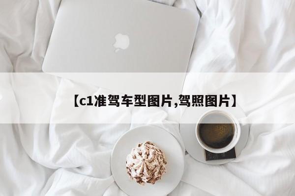 【c1准驾车型图片,驾照图片】