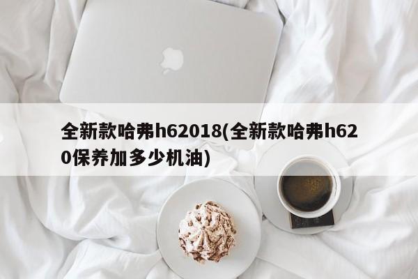 全新款哈弗h62018(全新款哈弗h620保养加多少机油)