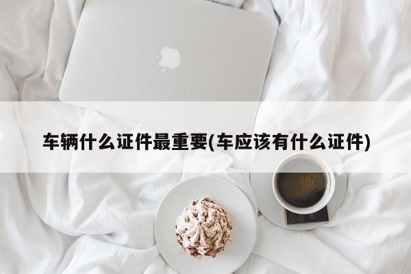 车辆什么证件最重要(车应该有什么证件)