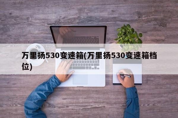 万里扬530变速箱(万里扬530变速箱档位)
