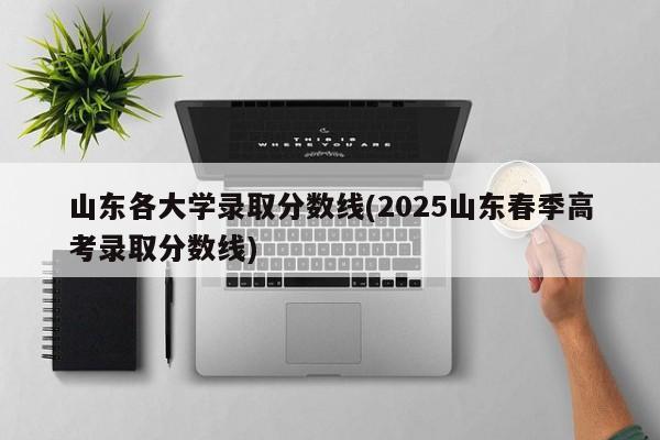 山东各大学录取分数线(2025山东春季高考录取分数线)