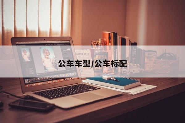公车车型/公车标配