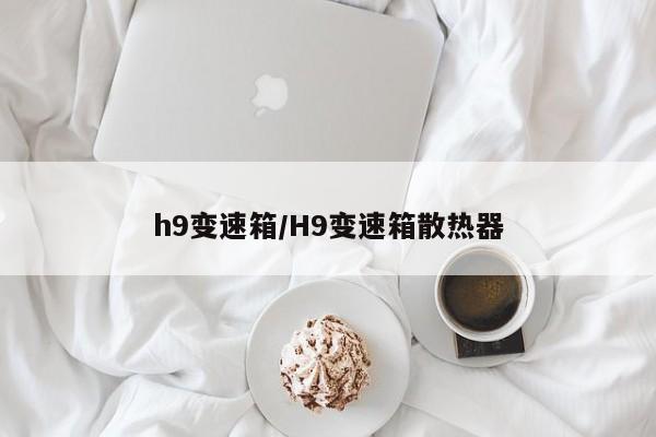 h9变速箱/H9变速箱散热器