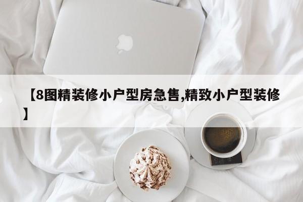 【8图精装修小户型房急售,精致小户型装修】