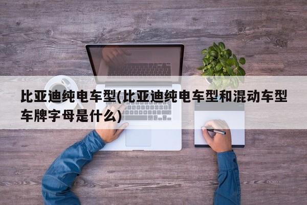 比亚迪纯电车型(比亚迪纯电车型和混动车型车牌字母是什么)